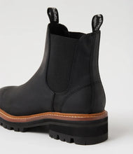 Load image into Gallery viewer, Django and Juliette Femi Black Chelsea Boot
