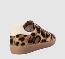 Load image into Gallery viewer, Alfie &amp; Evie Abbie Leopard/Cream Sneaker
