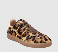 Load image into Gallery viewer, Alfie &amp; Evie Abbie Leopard/Cream Sneaker
